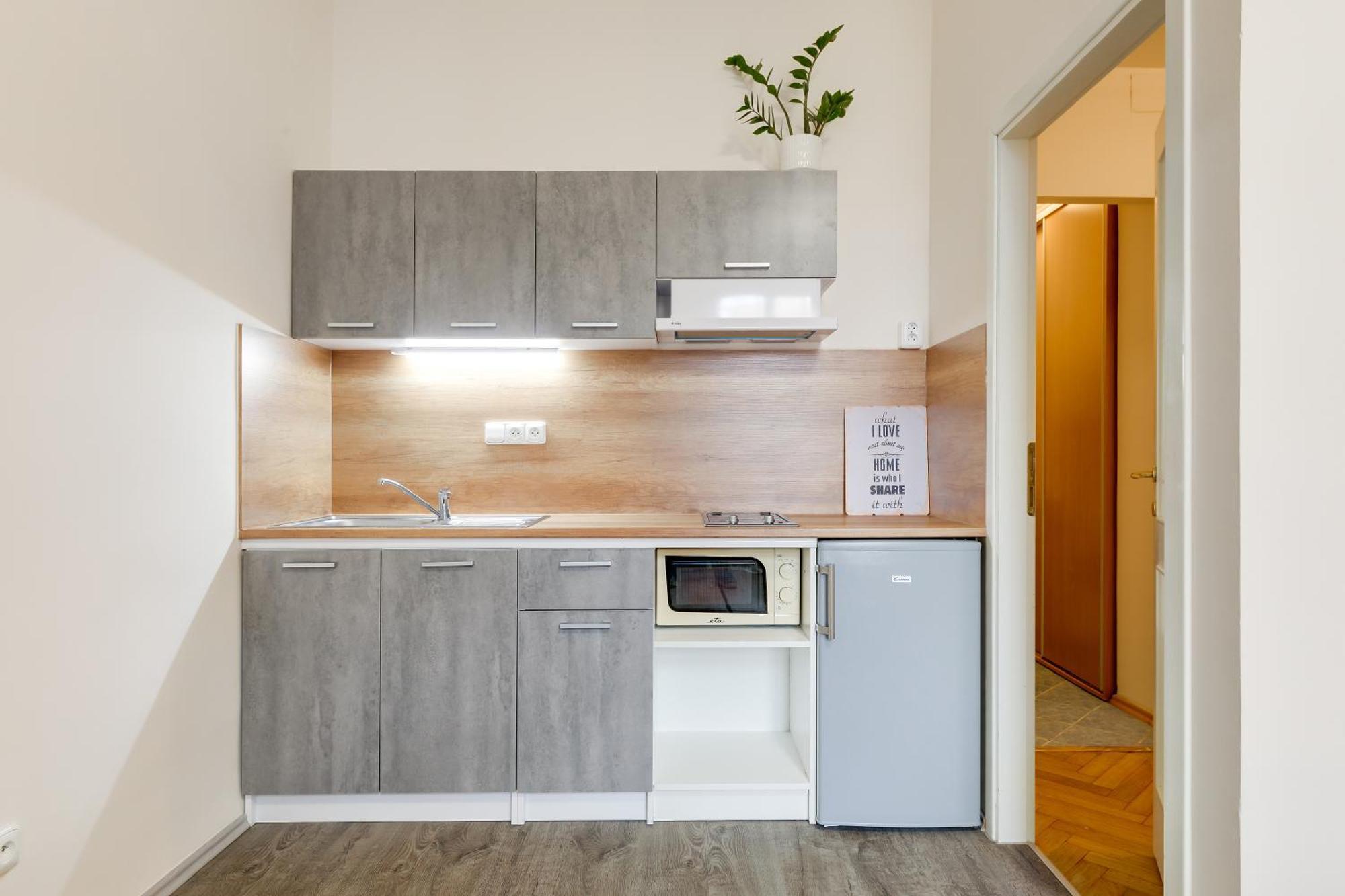 Apartment Nejedleho Prag